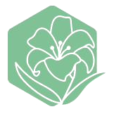 ゆりの花GUIDE